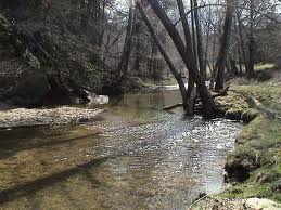 Montgomery County Virginia